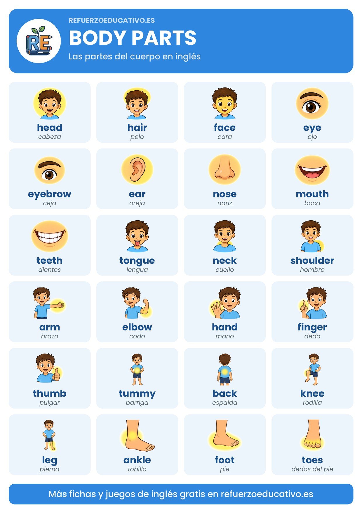 Lámina Body parts: 24 partes del cuerpo en inglés con dibujo y traducción