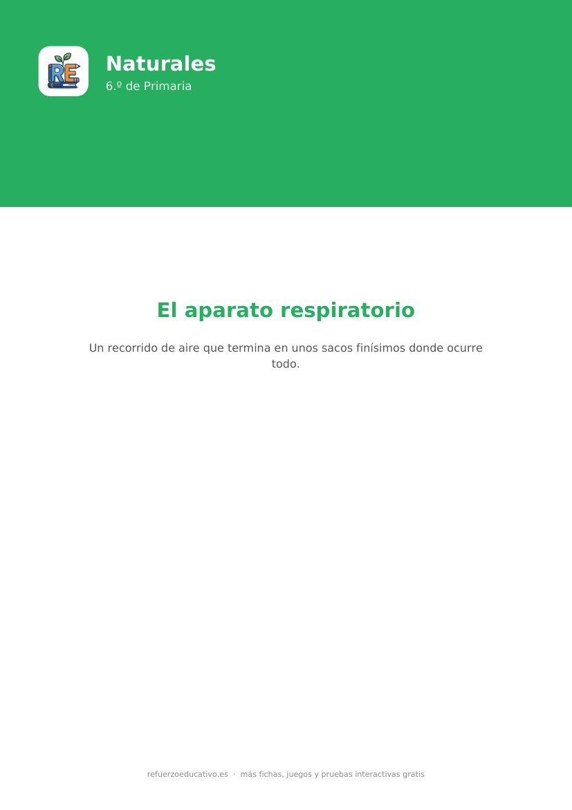 Portada de la ficha: El aparato respiratorio y la respiración — Naturales 6.º (PDF)