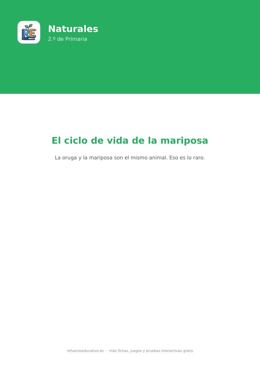 Portada de la ficha: El ciclo de vida de la mariposa — Naturales 2.º Primaria (PDF)
