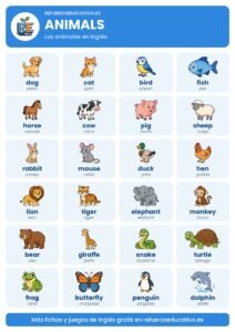 Lámina Animals: los animales en inglés con dibujos