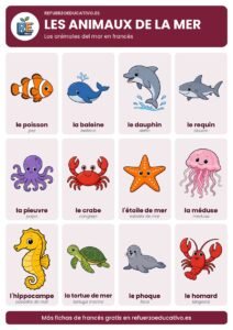 Lámina Les animaux de la mer: los animales del mar en francés con dibujos