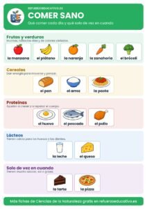 Lámina de alimentación saludable por grupos de alimentos