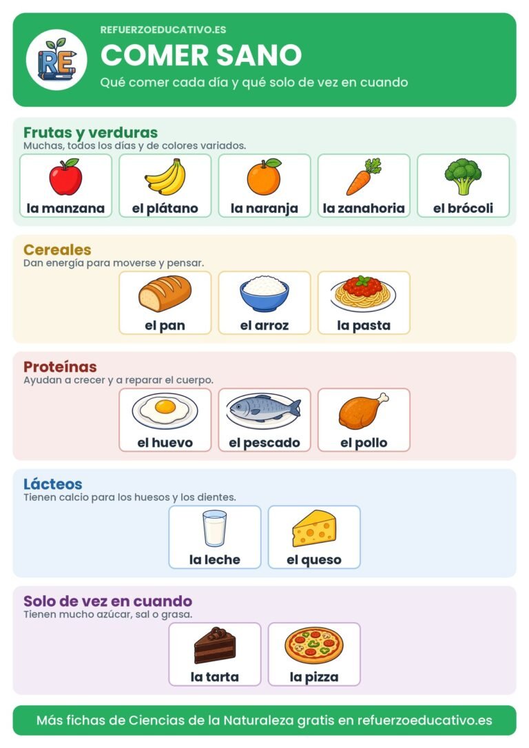 Lámina de alimentación saludable por grupos de alimentos