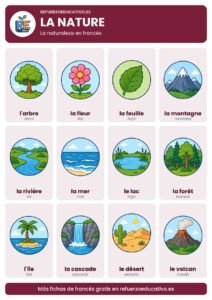 Lámina La nature: la naturaleza en francés con dibujos