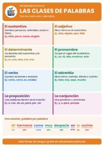 Lámina de las clases de palabras con ejemplos