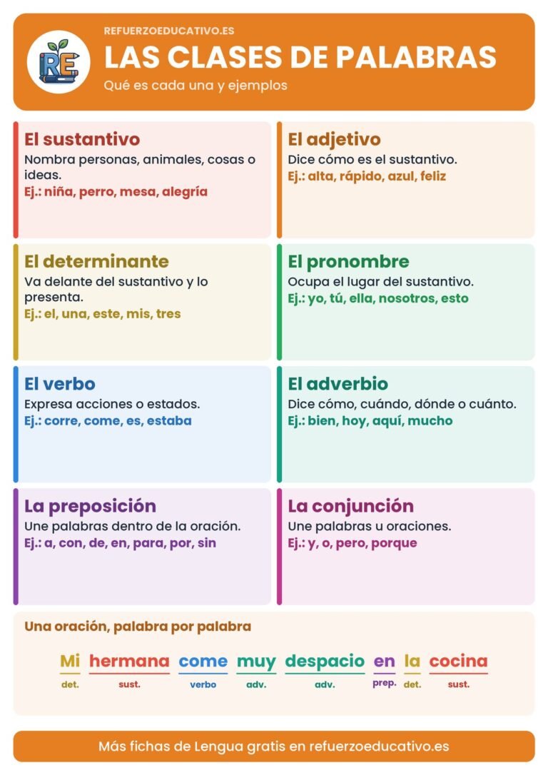 Lámina de las clases de palabras con su definición y ejemplos