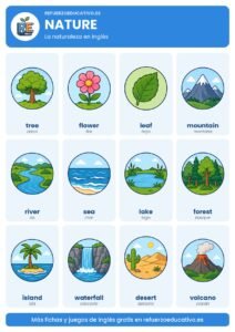 Lámina Nature: la naturaleza en inglés con dibujos