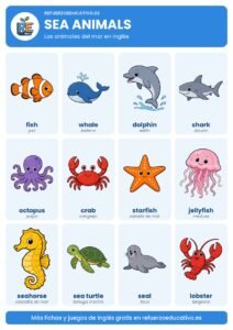 Lámina Sea animals: los animales del mar en inglés con dibujos