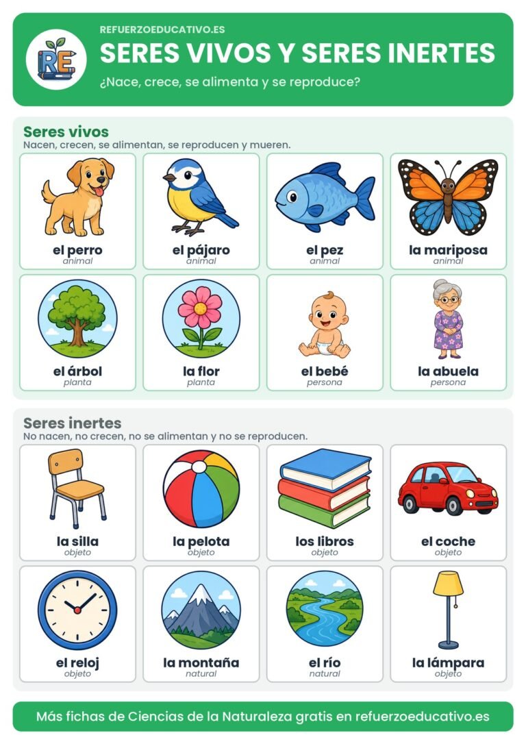 Lámina de seres vivos y seres inertes con dibujos
